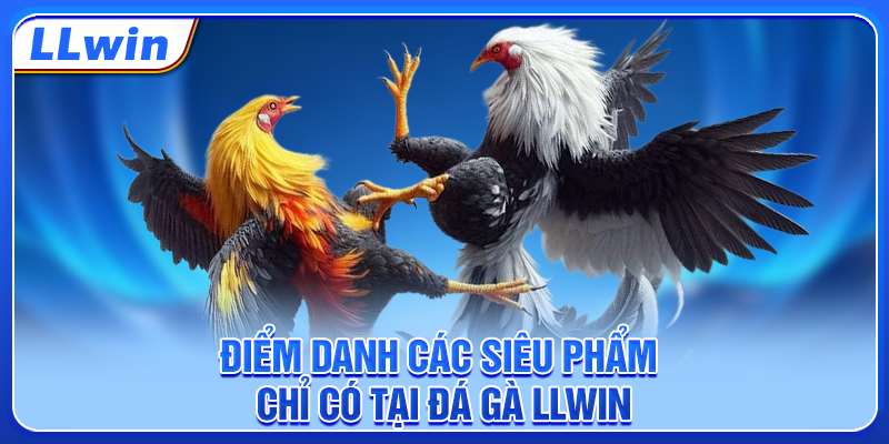 Điểm danh các siêu phẩm chỉ có tại đá gà LLWIN Điểm danh các siêu phẩm chỉ có tại đá gà LLWIN